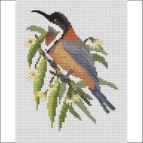 Eastern Spinebill cross stitch PDF pattern. A Maureen Maguire design from Caronie.